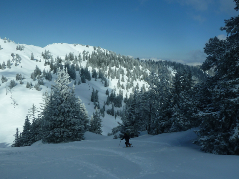 #5 Montée au Grand Som : au dessus du habert Montée au Grand Som : au dessus du habert