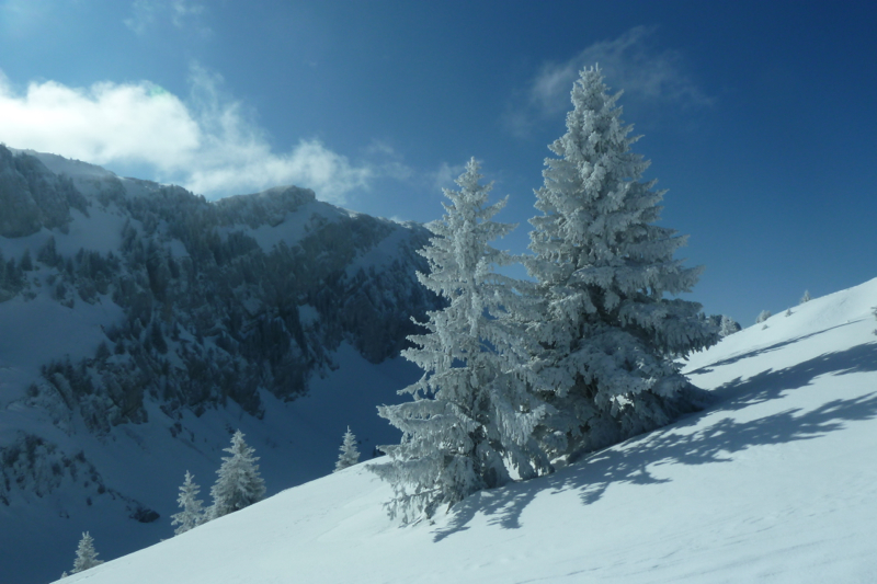 #4 Descente des Rousses : Avec au fond, le Grand Som Descente des Rousses : Avec au fond, le Grand Som