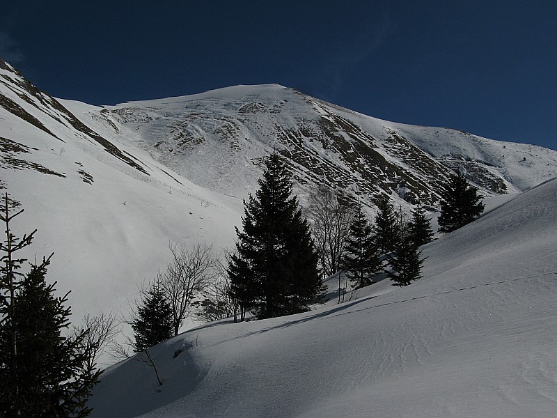 Mont d'Armenaz 2158m : Sommet du Mont d'Armenaz pas mal purgée sur pratiquement tout la face sud ouest! La crête entre le col et le sommet est bien chargée! Du coup j'ai est rennoncé, nous sommes montée par la zone plus au sud un peu boisée et rejoin