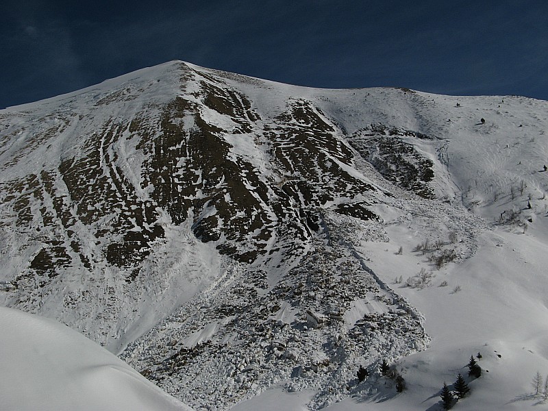 Mont d'Armenaz : Ici on voie mieux tout la zone purgée, impressionnant!