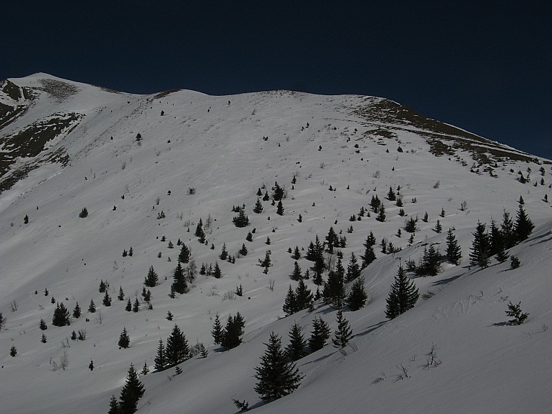 Face ce montée : Face de montée au Mont d'Armenaz en très bonne condition