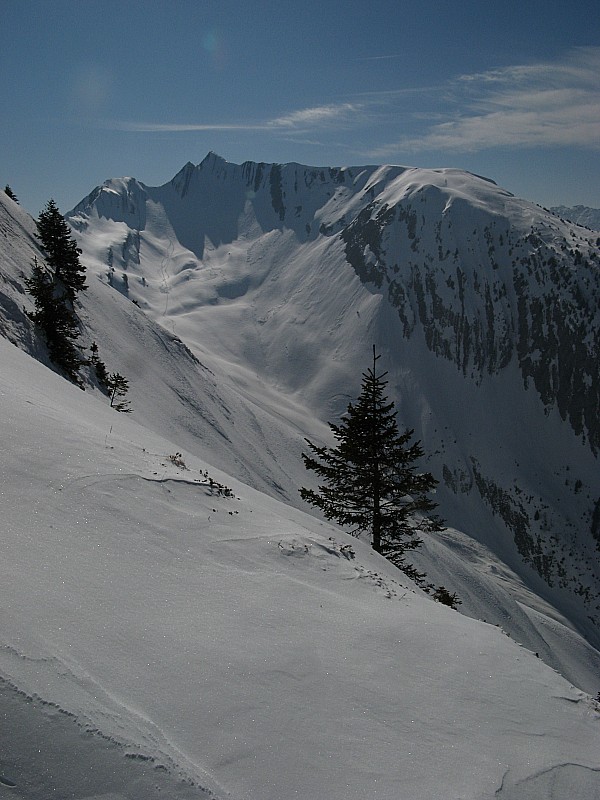 Vue sur la Pte des Arlicots : Belle vue sur la pointe des Arlicots 2060m, belle trace de montée à gauche du sommet et le beau Molard à droite 1961m plus accessible par le chalet Bottier (Très jolie course à faire absolument!)