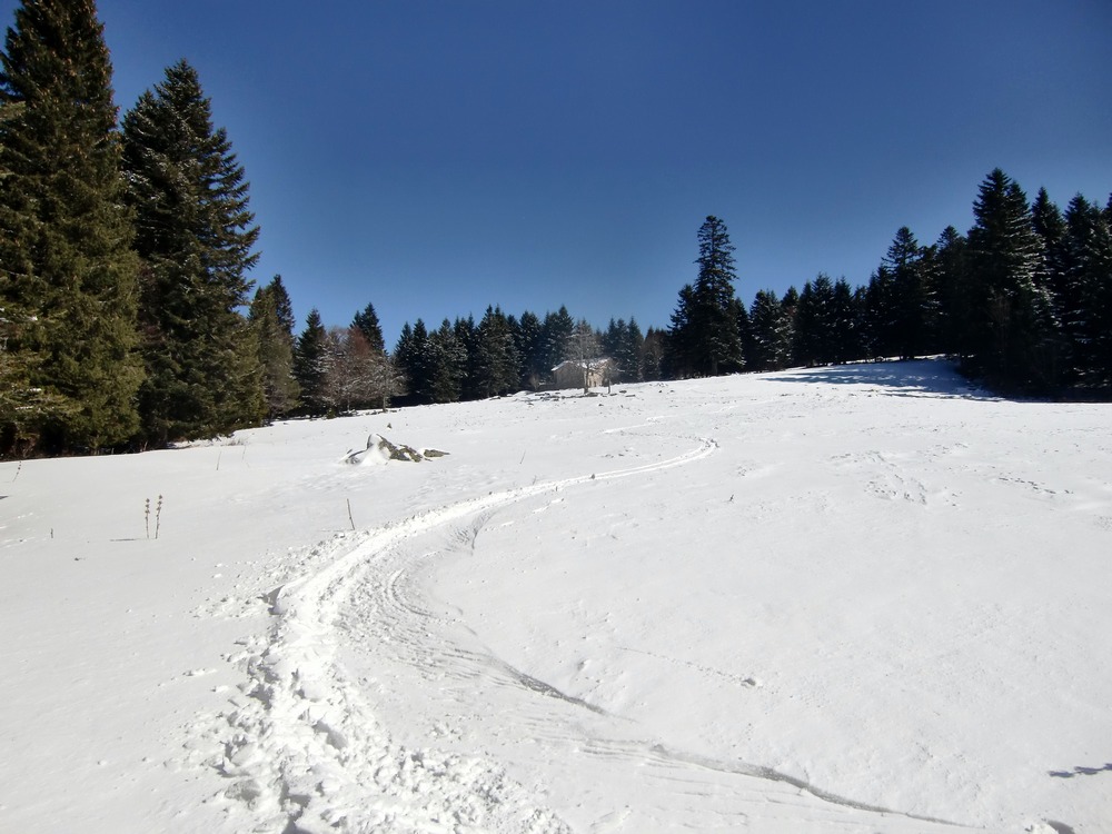 Buron de la Grosse Fond. : ride dans le dernier champs de neige avant le parking.