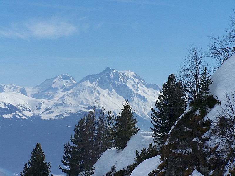 Pointe des Marmottes noires : Grande Casse, Grande Motte, depuis le fond du vallon.