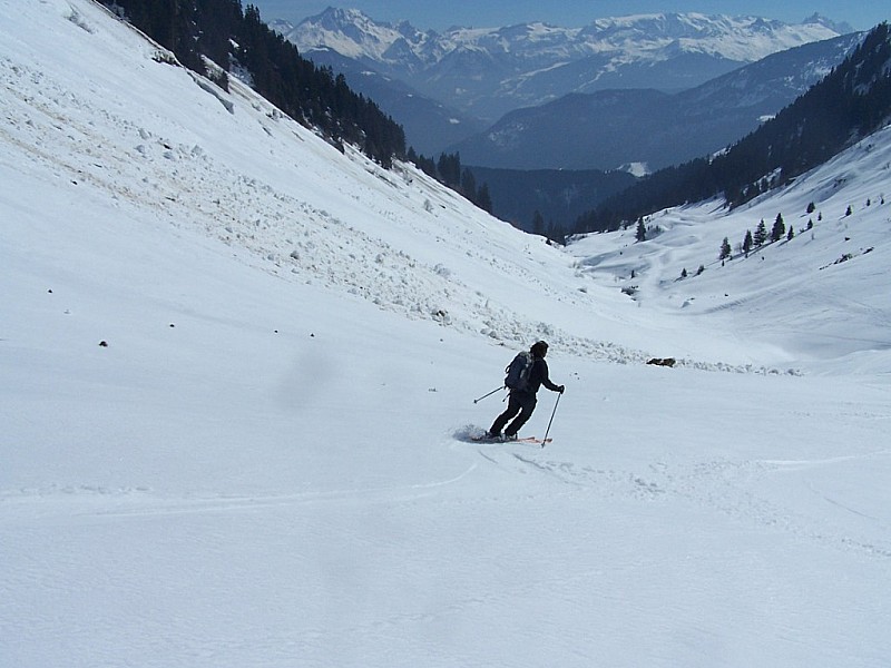 Pointe des Marmottes noires : Fin de la descente, dans le vallon, super "moquette"!