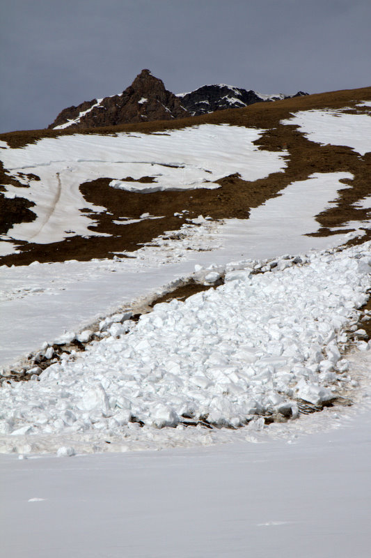 Avalanche : Grosse coulée, datant d'une quinzaine de jours. Tout est parti jusqu'à l'herbe.