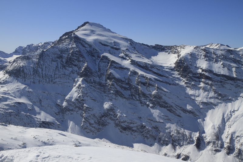 Charbonnel : omniprésent pendant toute la course.