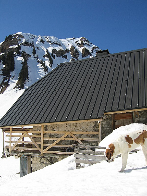 Chalets de Mens : Les Chalet de Mens et au fond le Pointe de Lachau