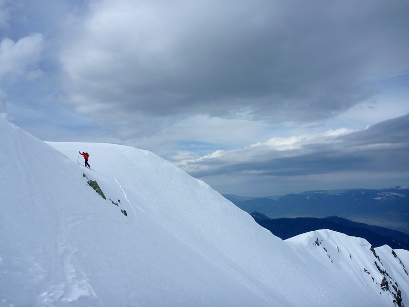 c'est gris : ça changera des frettes