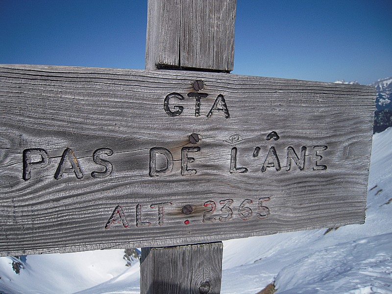 pas de l ane : pas de l'ane