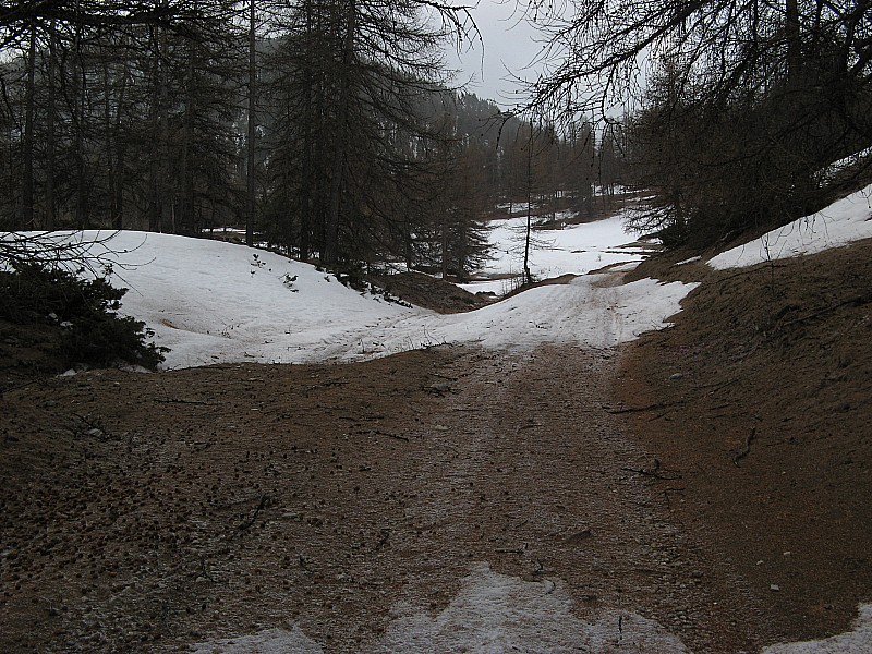 Piste de montée : Piste de montée avec des interruptions de neige.
Vers 1850 m