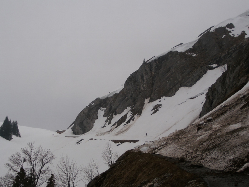 Combe Sauvage : Remontée par la route au Col de la Colombière.