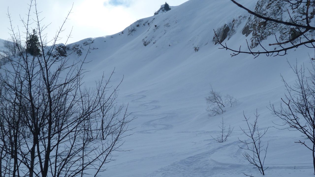 Tré la Tanne nord : Poudreuse de cinéma
