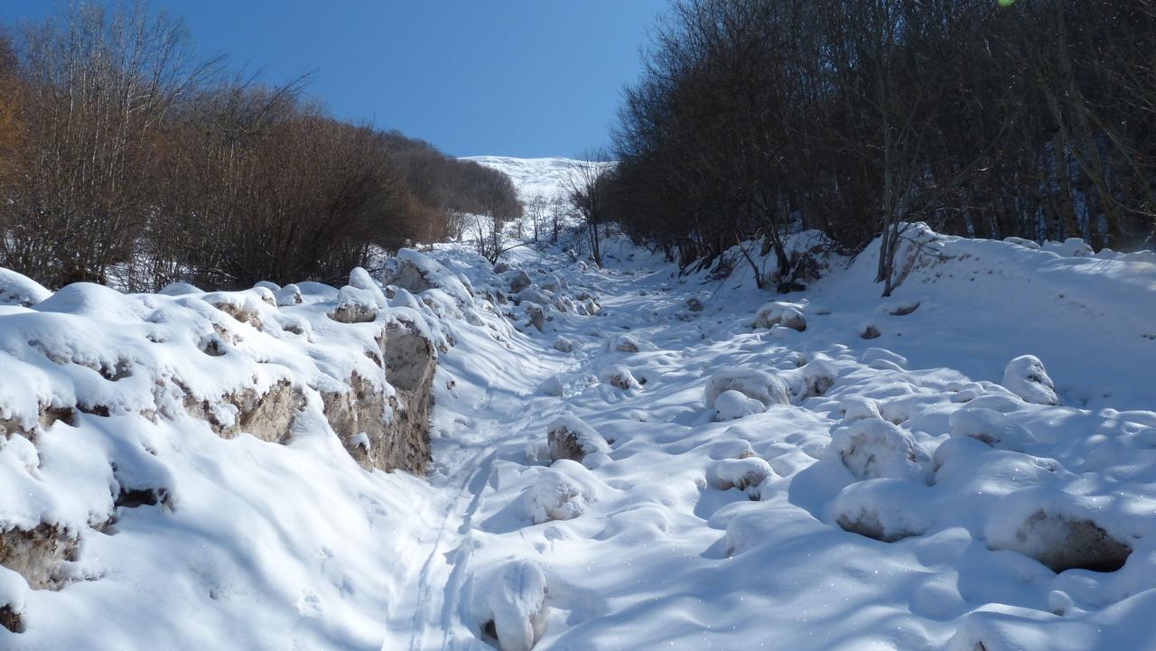 Combe de Fresse Meyet : Des pentes herbeuses avalancheuses