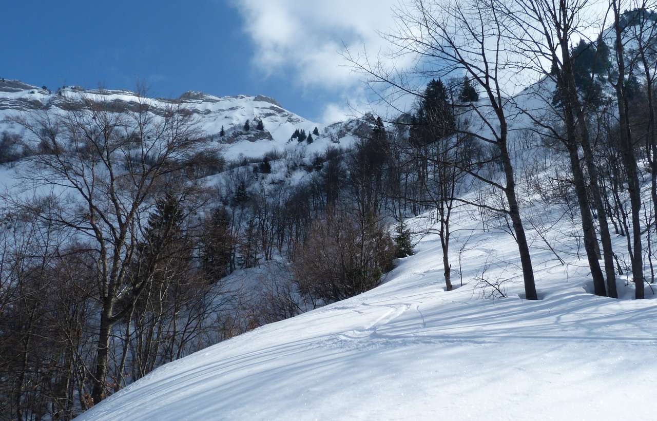 Tré la Tanne nord : La descente se poursuit jusqu'à la forêt difficilement pénétrable