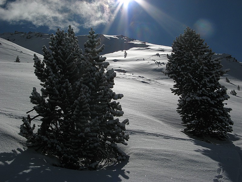 Belle montée : Haut du vallon vers 2300m