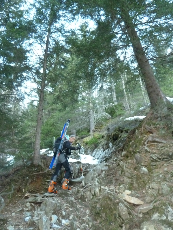 Montée dans la forêt : no comment !
