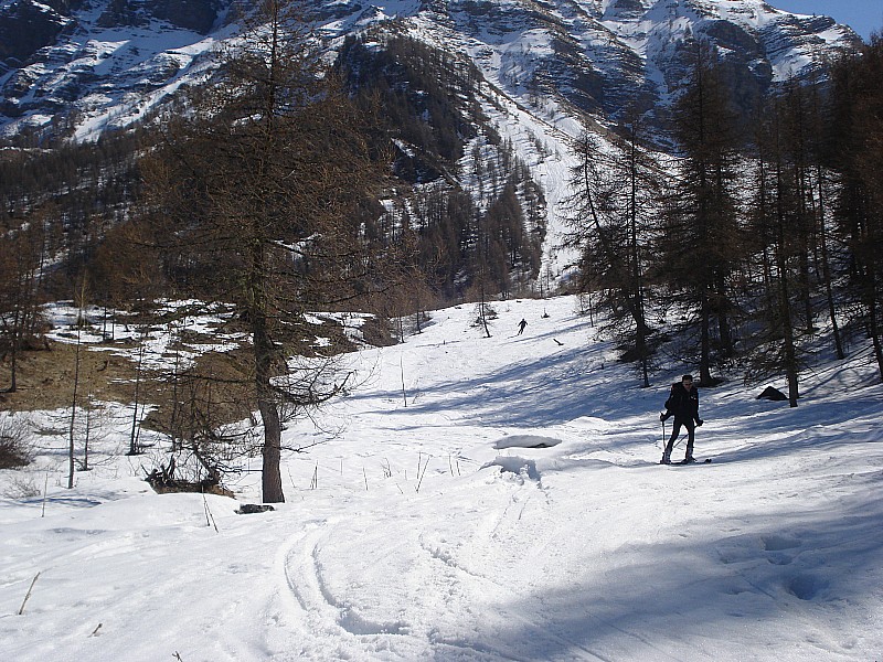 retour en forêt : fin de la descente à skis encore qq mêtres avant de déchausser!
