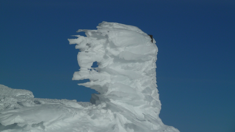 Oiseau sculpté : On ne montrera pas l'énorme pylône du sommet
