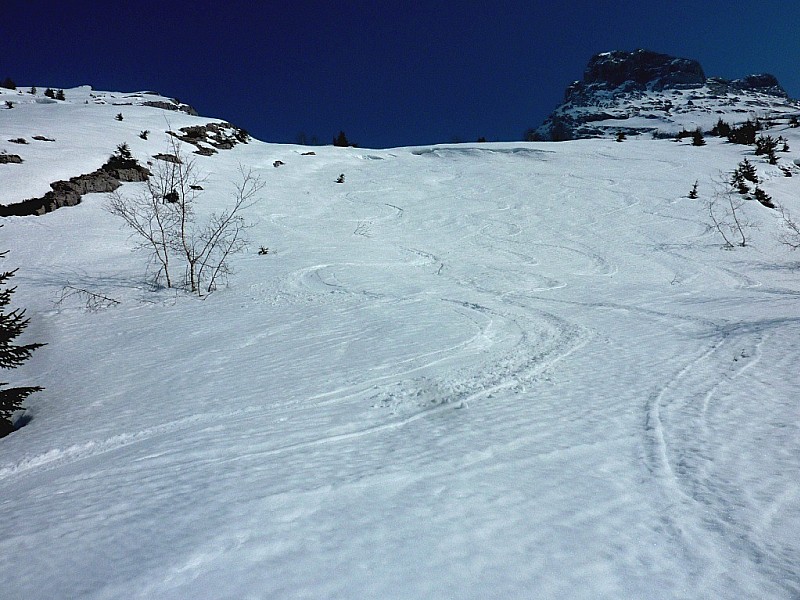 Mt Charvet : Dans les dalles au dessus du chemin de la Bombardellaz : moquette à poil long.