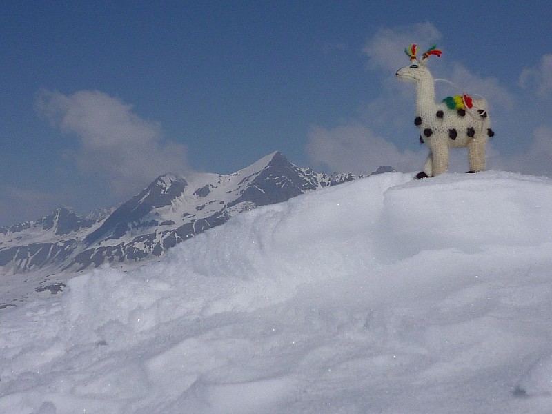 Aiguille Rousse : l'aiguille rousse est sèche à sa base, on remarque encore cette bestiole qui m'a suivi toute la saison.