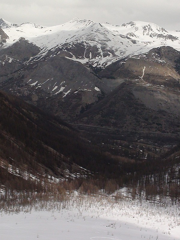 Retour : reste plus qu'un peu de poudre s'alourdissant quelques peu au milieu de ces petits mélèzes, qu'à se constituer un batton avec une branche morte d'un papa mélèze et qu'à tirer rive droite pour rentrer sans effort :)