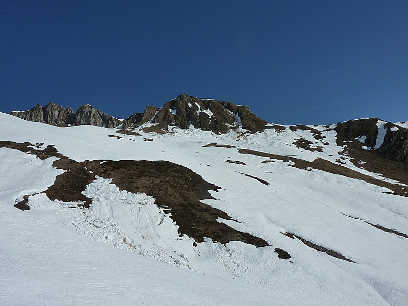bas de la combe bis : c'est le printemps