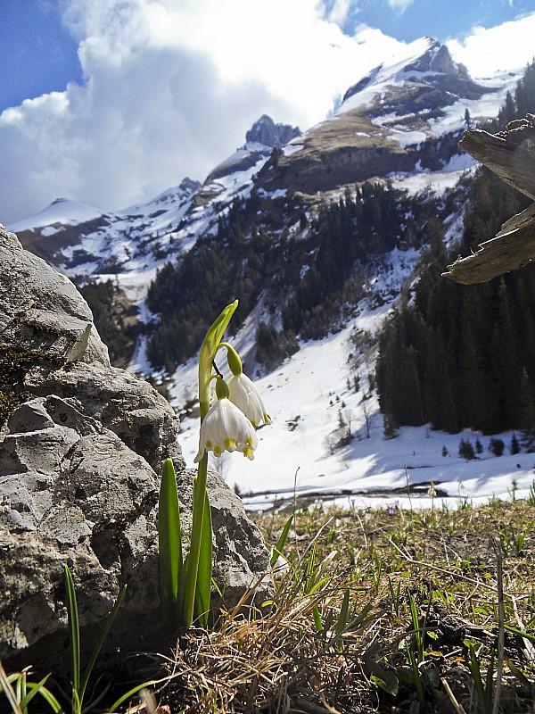 Le printemps : La fin de saison approche.