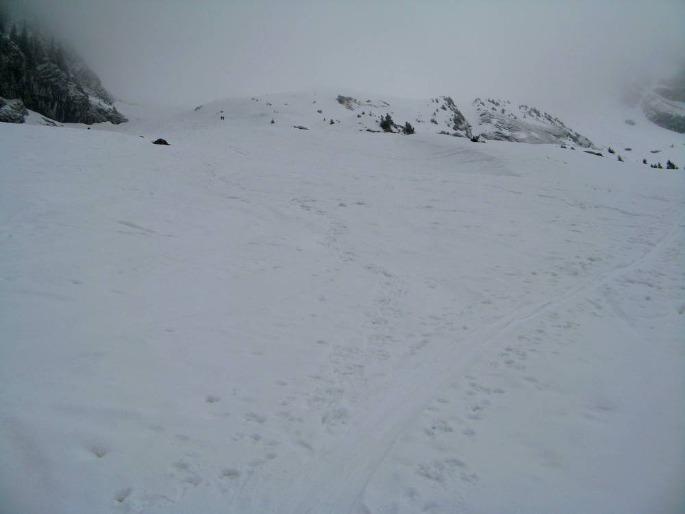 combe du Grand Crêt : C'est par là que l'on va !
