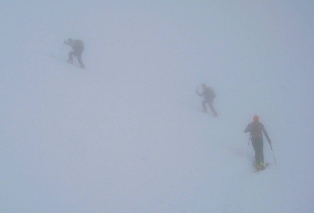 Col du Paré de Joux : Mes compagnons du jour à l'approche du sommet ...