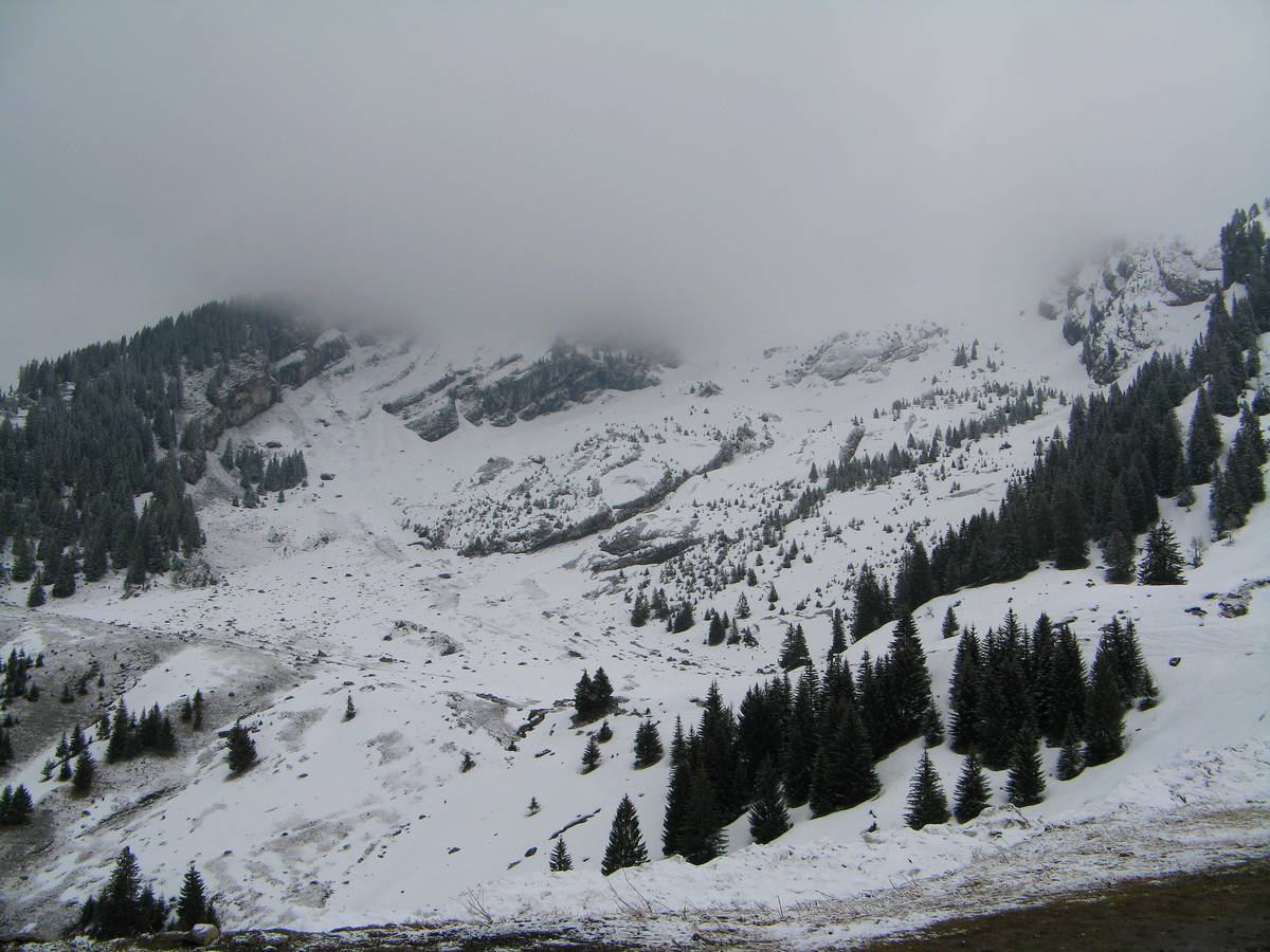 combe du Grand Crêt : Un départ peu engageant !