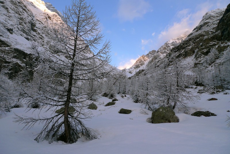 Pelas-Verney : Ambiance hivernale...