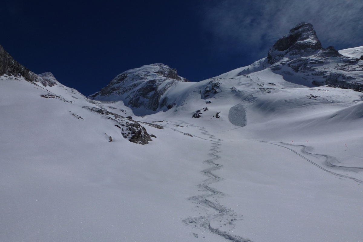 vallon de l'Arcellin : Excellent !