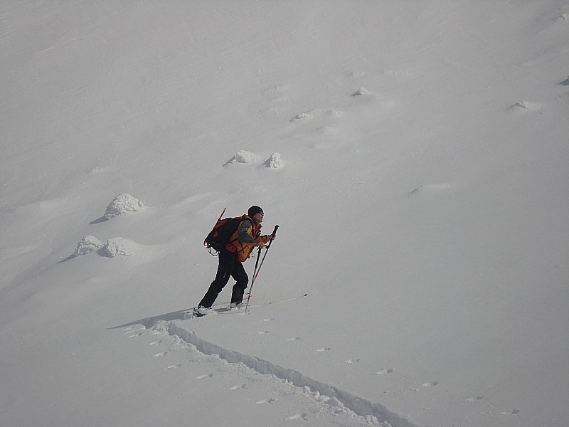 Trace : Sans oublier notre traceur