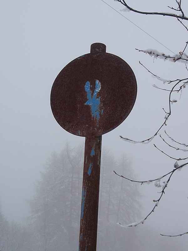 Ancienne piste? : Je me demande si ces anciens panneaux sont ceux d'une ancienne piste. Déplacés ou bien réellement une piste au Sapey?
Pourtant pas de trace de téléski, mais saignée dans la forêt (itinéraire montée)