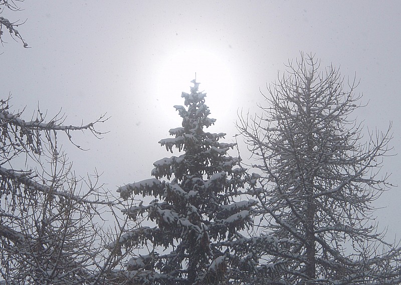 Soleil (2) : Il me nargue encore