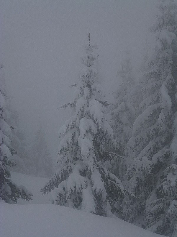Grand Rocher : Brouillard, neige, personne... silence.