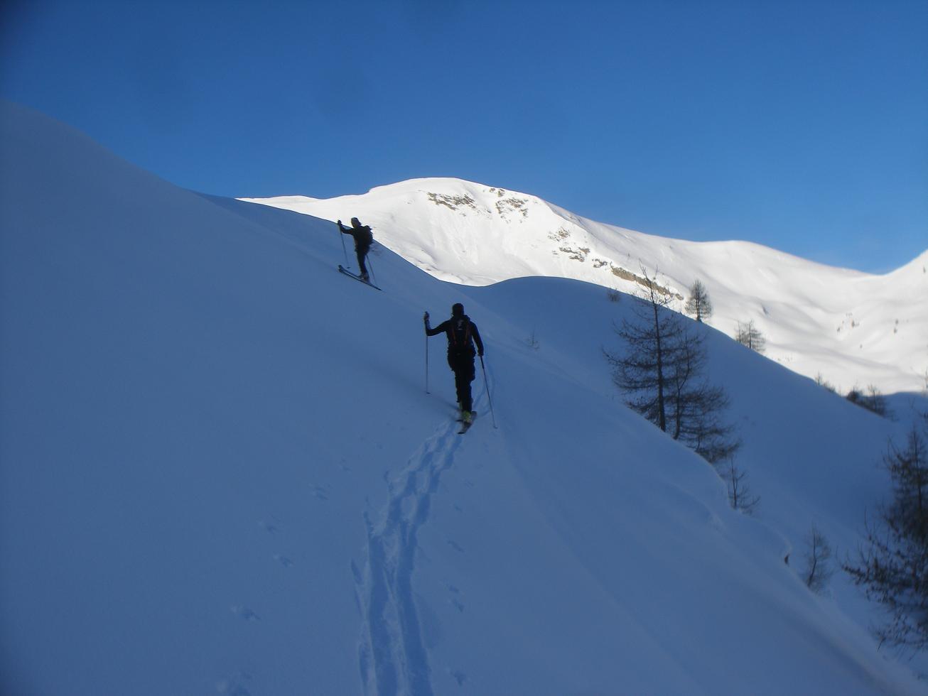 fredo et fils à la trace : quelques cm de poudre posés sur un neige portante ça s'annonce bien