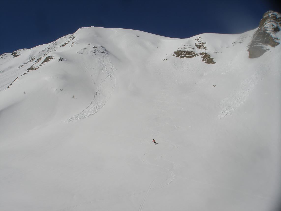 aperçu! : fredo en action