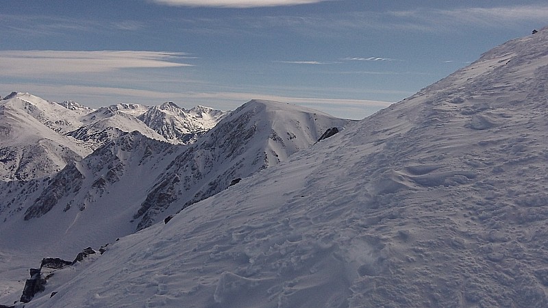 Un moustique : Sur le Pic de Fonfrède