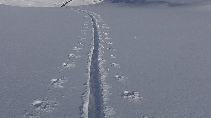 Bonne poudre : Sous les mines de Puymorens