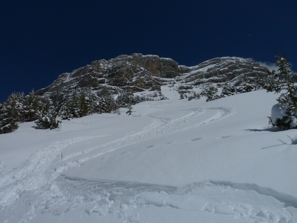 Dent de Crolles : Bon ski avec des gros skis!