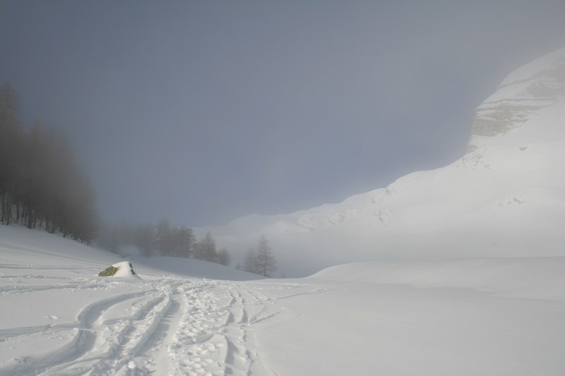 Et le brouillard se déchira