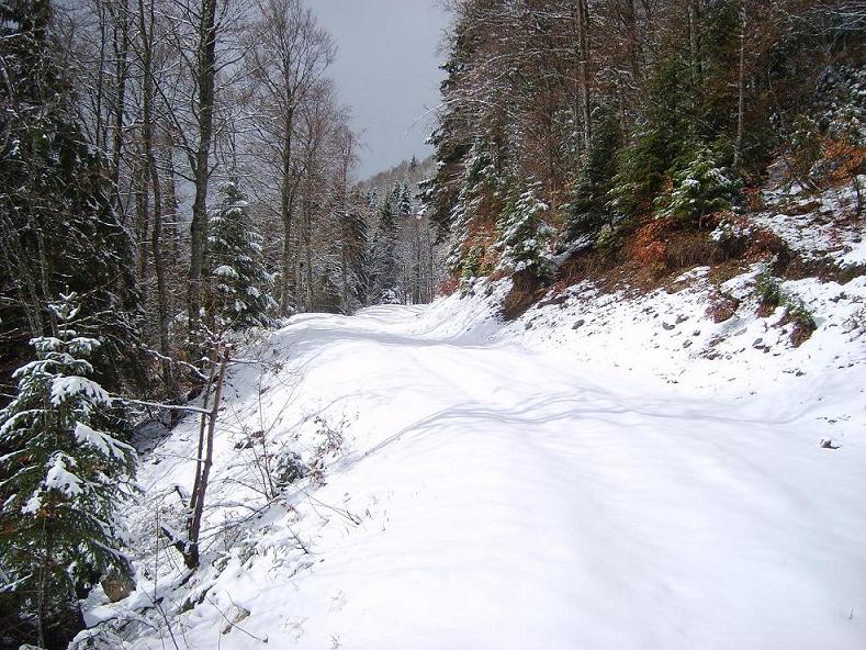 Lances de Malissard : La neige apparaît vite une fois sur le chemin vers le Passage de l'Aulp du Seuil