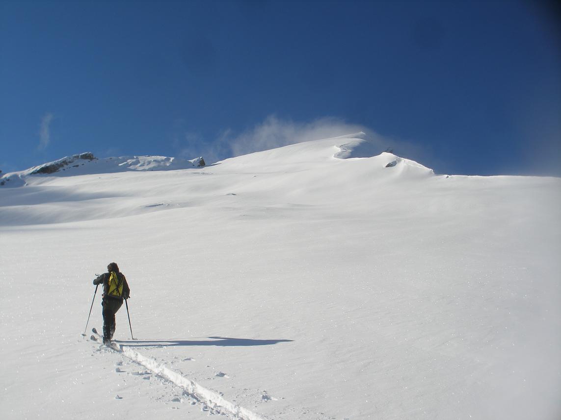 c'est l'hiver! : blanc de chez blanc!