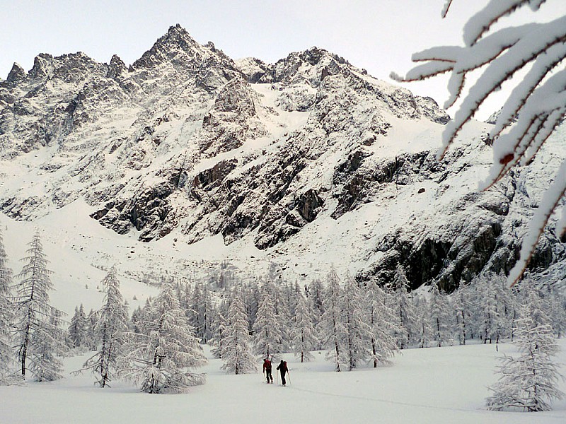#3 Ambiance hivernale : Pré de cette chère Mme Carle Ambiance hivernale : Pré de cette chère Mme Carle