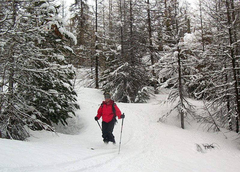 dans les bois : encore facile et relax à skier