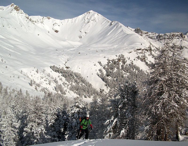 couleurs du jour : blanc sur vert, les couleurs du jour !..