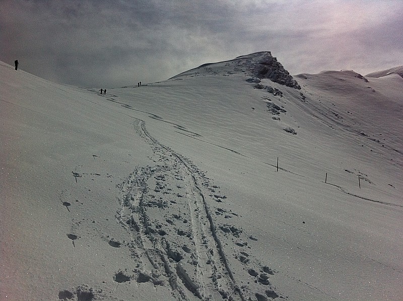 piste de l'Aiguille : neige poudreuse sur quelques centimètres , agréable et belle lumière tamisée