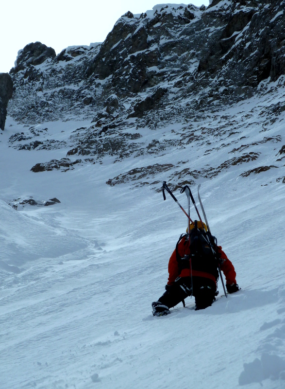 Couillu le Caribou : ça brasse mais ça refroidit!